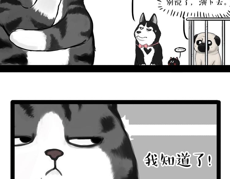 《吾皇巴扎黑》漫画最新章节第202话 谁动了吾皇的猫粮免费下拉式在线观看章节第【40】张图片