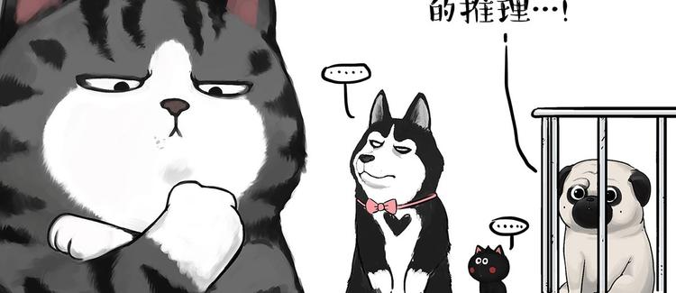 《吾皇巴扎黑》漫画最新章节第202话 谁动了吾皇的猫粮免费下拉式在线观看章节第【43】张图片