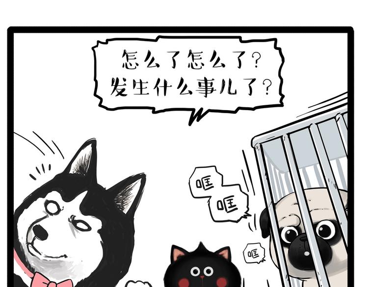 《吾皇巴扎黑》漫画最新章节第202话 谁动了吾皇的猫粮免费下拉式在线观看章节第【8】张图片