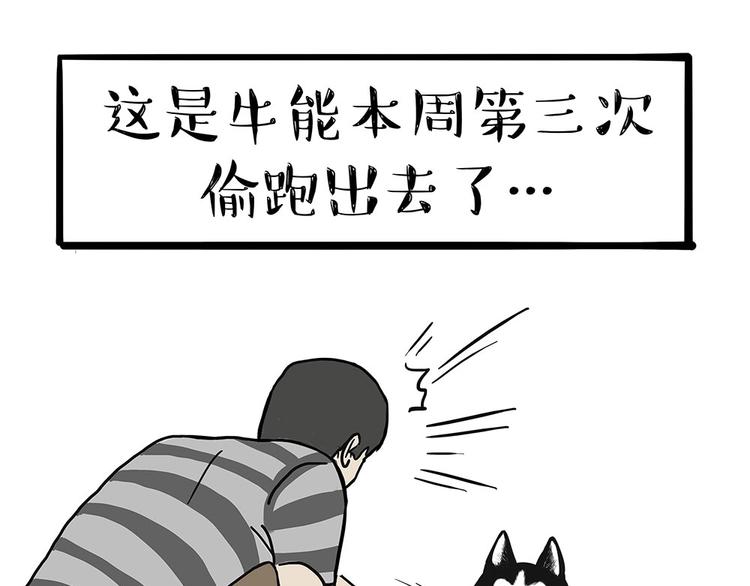 《吾皇巴扎黑》漫画最新章节第203话 宅家不如挨顿打！免费下拉式在线观看章节第【35】张图片