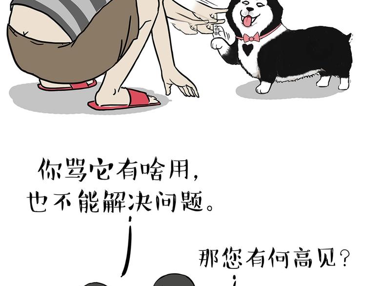 《吾皇巴扎黑》漫画最新章节第203话 宅家不如挨顿打！免费下拉式在线观看章节第【36】张图片