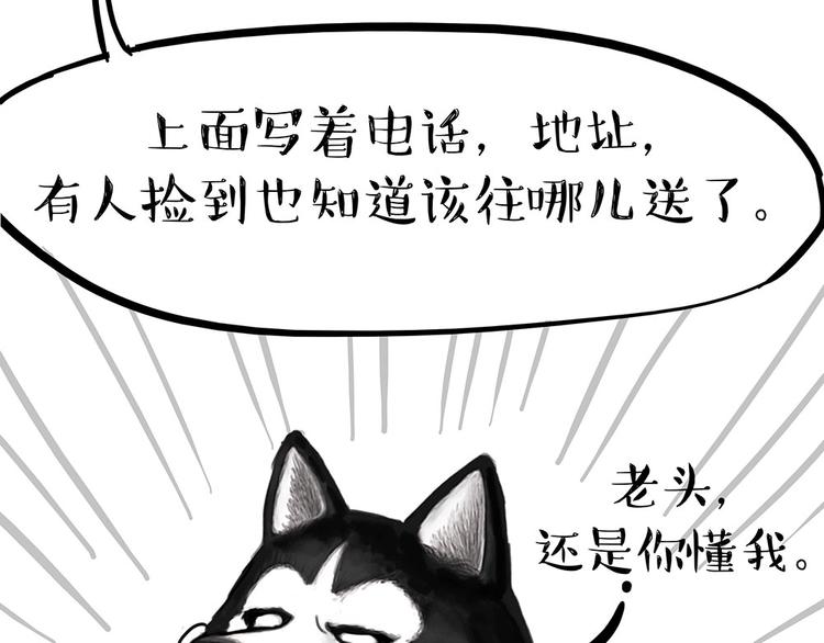 《吾皇巴扎黑》漫画最新章节第203话 宅家不如挨顿打！免费下拉式在线观看章节第【40】张图片