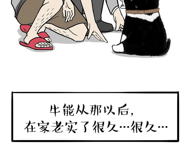 《吾皇巴扎黑》漫画最新章节第203话 宅家不如挨顿打！免费下拉式在线观看章节第【45】张图片