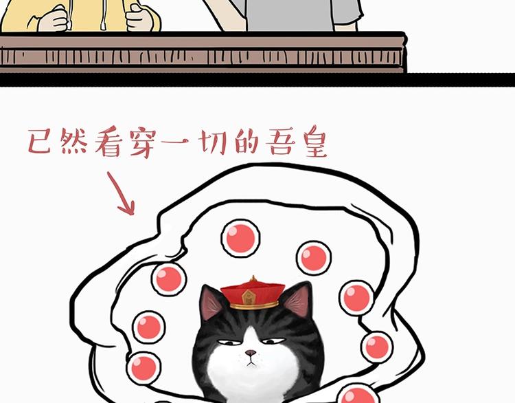 《吾皇巴扎黑》漫画最新章节第205话 一切都是猫的安排免费下拉式在线观看章节第【38】张图片