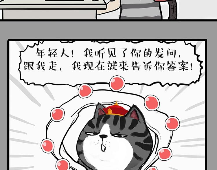 《吾皇巴扎黑》漫画最新章节第205话 一切都是猫的安排免费下拉式在线观看章节第【6】张图片