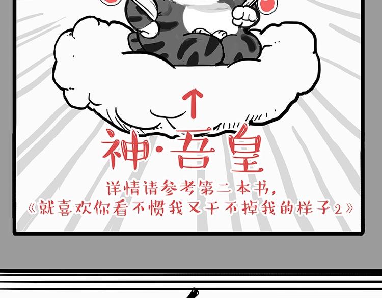 《吾皇巴扎黑》漫画最新章节第205话 一切都是猫的安排免费下拉式在线观看章节第【7】张图片