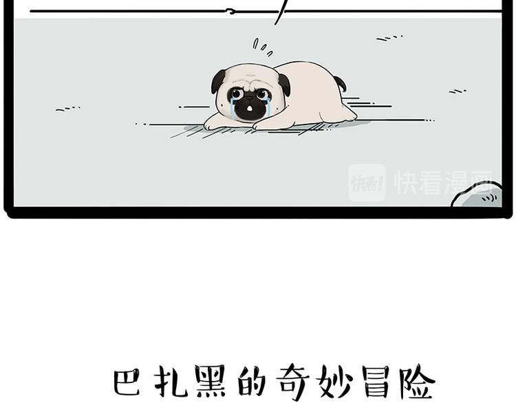 《吾皇巴扎黑》漫画最新章节第207话 巴扎黑丢了？！免费下拉式在线观看章节第【10】张图片