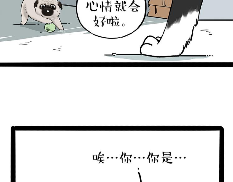 《吾皇巴扎黑》漫画最新章节第207话 巴扎黑丢了？！免费下拉式在线观看章节第【14】张图片