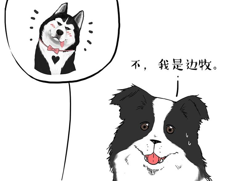 《吾皇巴扎黑》漫画最新章节第207话 巴扎黑丢了？！免费下拉式在线观看章节第【16】张图片