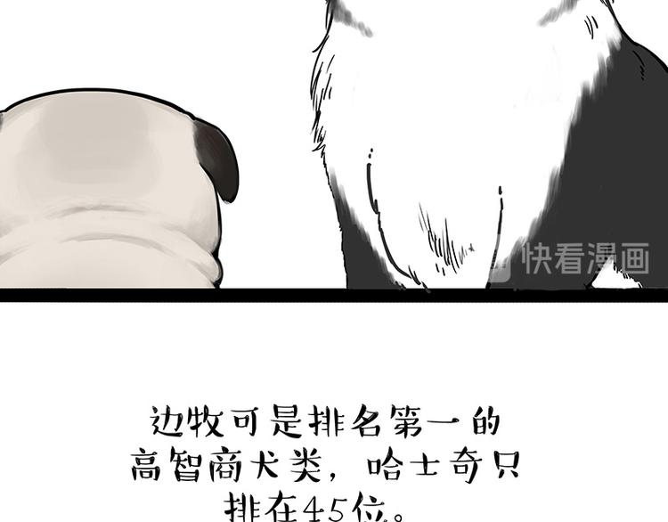 《吾皇巴扎黑》漫画最新章节第207话 巴扎黑丢了？！免费下拉式在线观看章节第【17】张图片