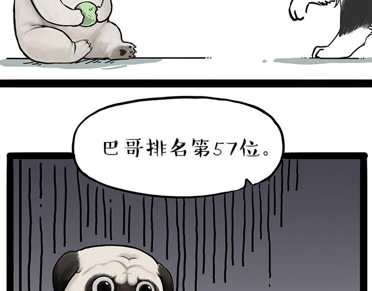 《吾皇巴扎黑》漫画最新章节第207话 巴扎黑丢了？！免费下拉式在线观看章节第【19】张图片