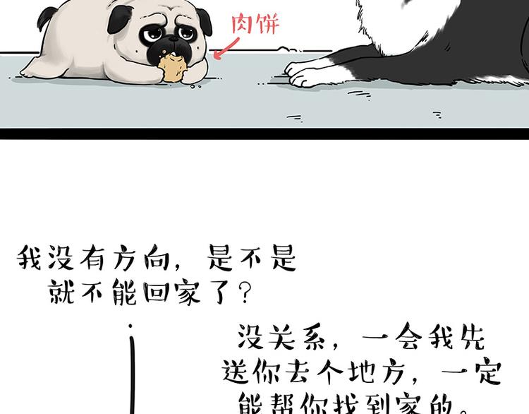 《吾皇巴扎黑》漫画最新章节第207话 巴扎黑丢了？！免费下拉式在线观看章节第【22】张图片