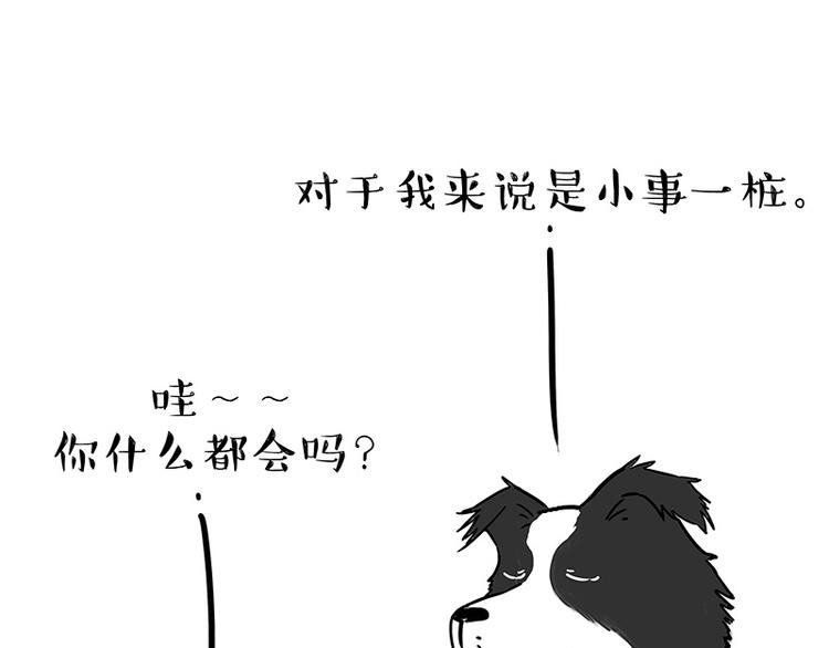 《吾皇巴扎黑》漫画最新章节第207话 巴扎黑丢了？！免费下拉式在线观看章节第【25】张图片