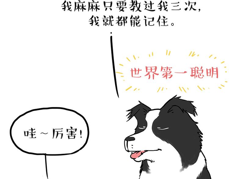 《吾皇巴扎黑》漫画最新章节第207话 巴扎黑丢了？！免费下拉式在线观看章节第【29】张图片