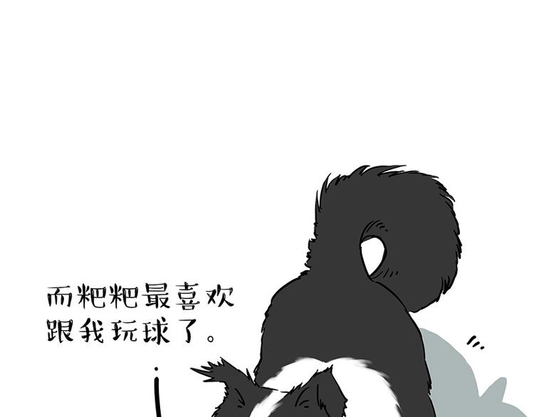 《吾皇巴扎黑》漫画最新章节第207话 巴扎黑丢了？！免费下拉式在线观看章节第【31】张图片