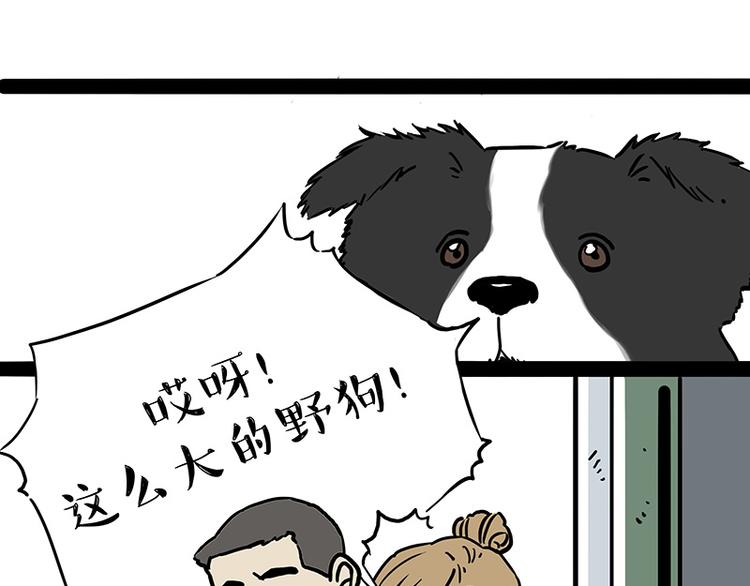 《吾皇巴扎黑》漫画最新章节第207话 巴扎黑丢了？！免费下拉式在线观看章节第【36】张图片