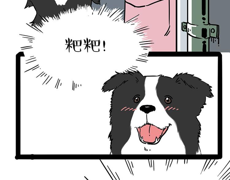 《吾皇巴扎黑》漫画最新章节第207话 巴扎黑丢了？！免费下拉式在线观看章节第【38】张图片