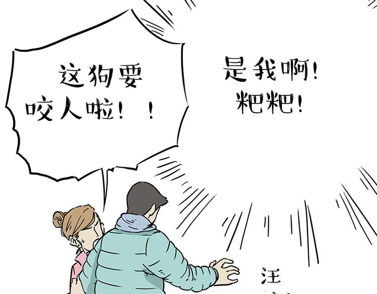 《吾皇巴扎黑》漫画最新章节第207话 巴扎黑丢了？！免费下拉式在线观看章节第【39】张图片