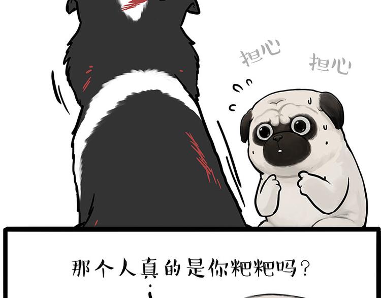 《吾皇巴扎黑》漫画最新章节第207话 巴扎黑丢了？！免费下拉式在线观看章节第【46】张图片