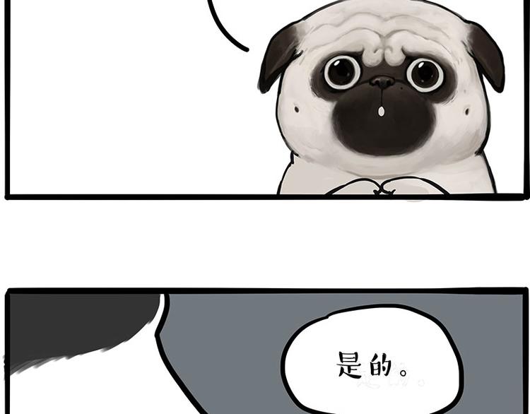 《吾皇巴扎黑》漫画最新章节第207话 巴扎黑丢了？！免费下拉式在线观看章节第【47】张图片