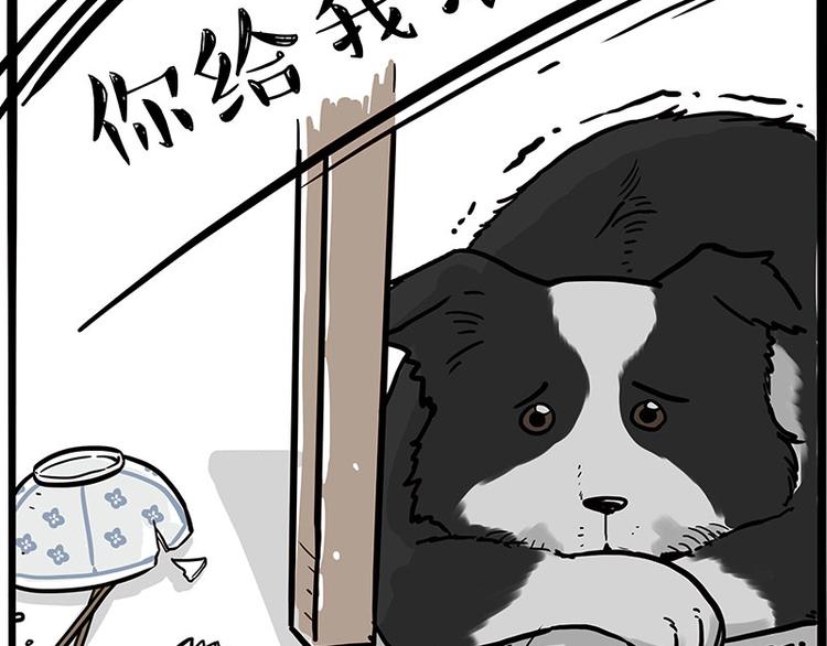 《吾皇巴扎黑》漫画最新章节第207话 巴扎黑丢了？！免费下拉式在线观看章节第【54】张图片