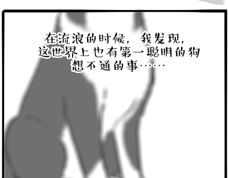 《吾皇巴扎黑》漫画最新章节第207话 巴扎黑丢了？！免费下拉式在线观看章节第【58】张图片