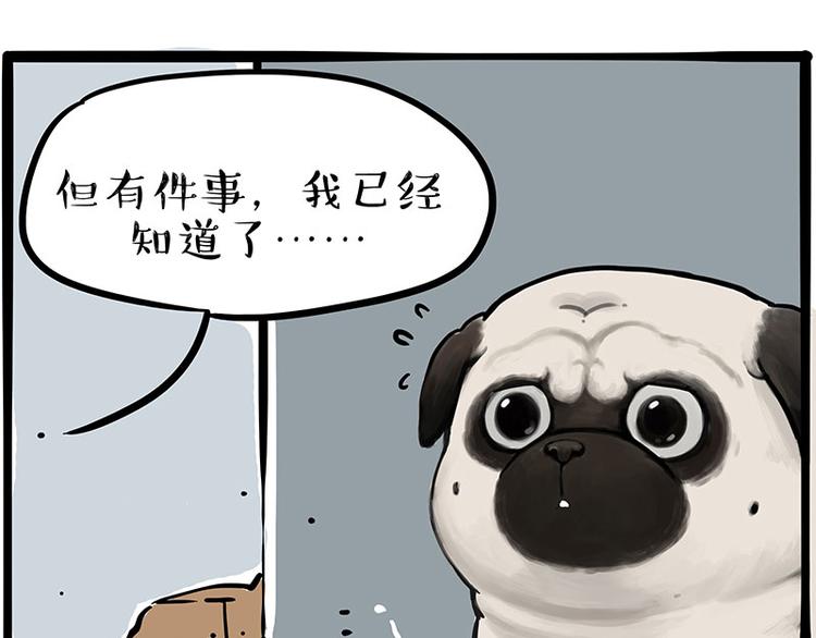 《吾皇巴扎黑》漫画最新章节第207话 巴扎黑丢了？！免费下拉式在线观看章节第【60】张图片