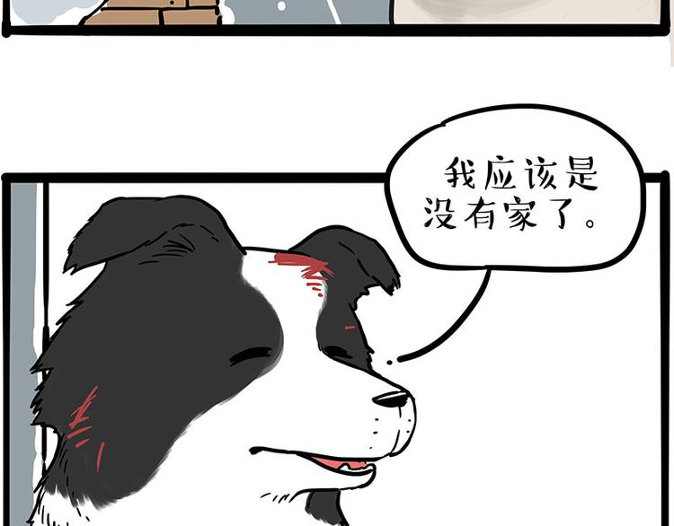 《吾皇巴扎黑》漫画最新章节第207话 巴扎黑丢了？！免费下拉式在线观看章节第【61】张图片