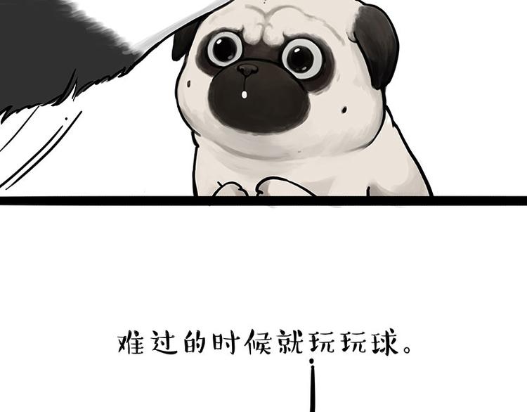 《吾皇巴扎黑》漫画最新章节第207话 巴扎黑丢了？！免费下拉式在线观看章节第【72】张图片