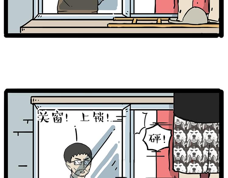 《吾皇巴扎黑》漫画最新章节第208话 代喂猫不要命免费下拉式在线观看章节第【19】张图片