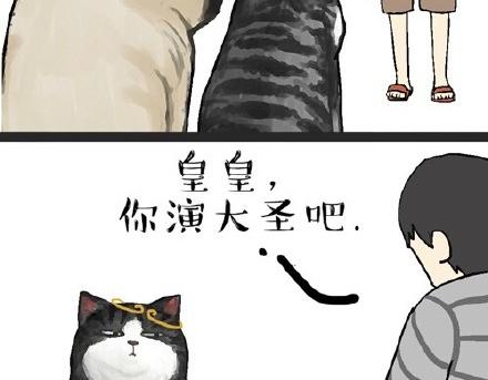 《吾皇巴扎黑》漫画最新章节第22话 全民CP时代！免费下拉式在线观看章节第【15】张图片