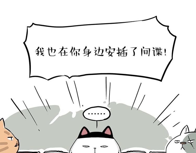 《吾皇巴扎黑》漫画最新章节第211话 来吃瓜免费下拉式在线观看章节第【17】张图片