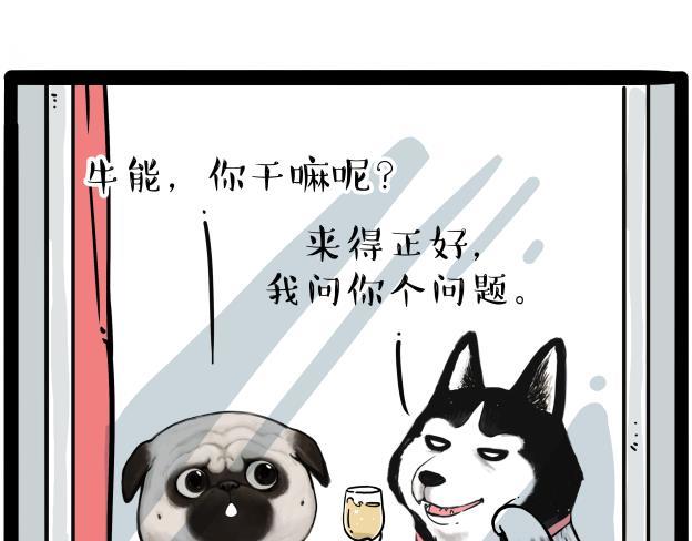 《吾皇巴扎黑》漫画最新章节第212话 万能爹和“狗”生免费下拉式在线观看章节第【13】张图片