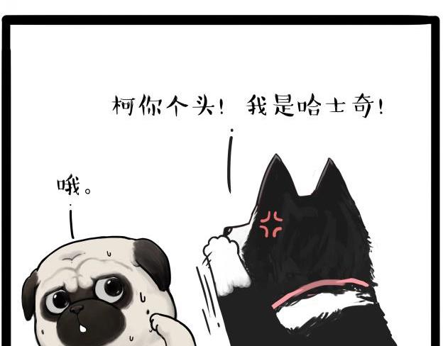 《吾皇巴扎黑》漫画最新章节第212话 万能爹和“狗”生免费下拉式在线观看章节第【16】张图片