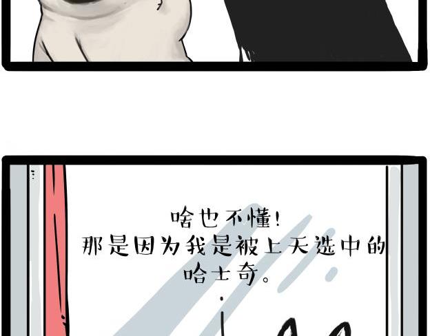 《吾皇巴扎黑》漫画最新章节第212话 万能爹和“狗”生免费下拉式在线观看章节第【17】张图片