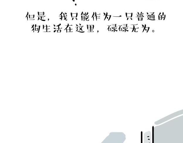 《吾皇巴扎黑》漫画最新章节第212话 万能爹和“狗”生免费下拉式在线观看章节第【23】张图片