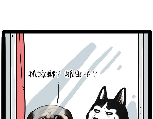 《吾皇巴扎黑》漫画最新章节第212话 万能爹和“狗”生免费下拉式在线观看章节第【29】张图片