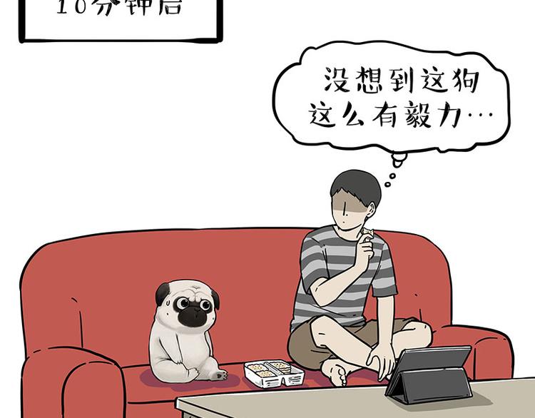 《吾皇巴扎黑》漫画最新章节第215话 狗不要了免费下拉式在线观看章节第【22】张图片