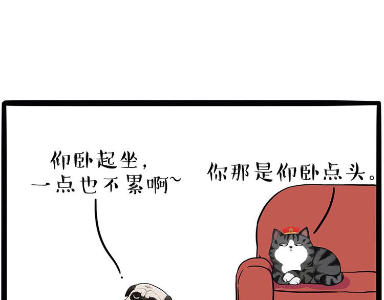 《吾皇巴扎黑》漫画最新章节第215话 狗不要了免费下拉式在线观看章节第【3】张图片