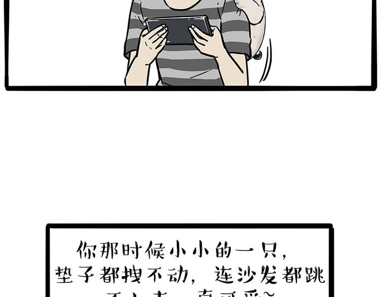 《吾皇巴扎黑》漫画最新章节第215话 狗不要了免费下拉式在线观看章节第【39】张图片