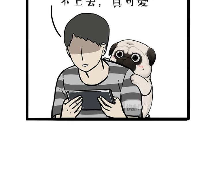 《吾皇巴扎黑》漫画最新章节第215话 狗不要了免费下拉式在线观看章节第【40】张图片