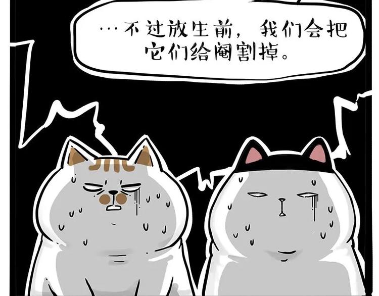 《吾皇巴扎黑》漫画最新章节第216话 傲霸求领养了！免费下拉式在线观看章节第【10】张图片