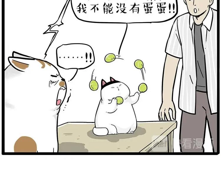 《吾皇巴扎黑》漫画最新章节第216话 傲霸求领养了！免费下拉式在线观看章节第【19】张图片