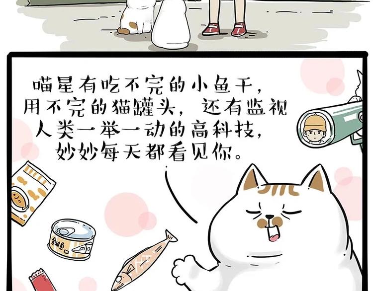 《吾皇巴扎黑》漫画最新章节第216话 傲霸求领养了！免费下拉式在线观看章节第【44】张图片