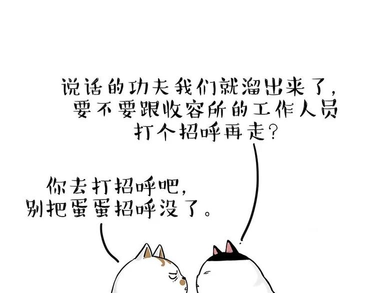 《吾皇巴扎黑》漫画最新章节第216话 傲霸求领养了！免费下拉式在线观看章节第【63】张图片