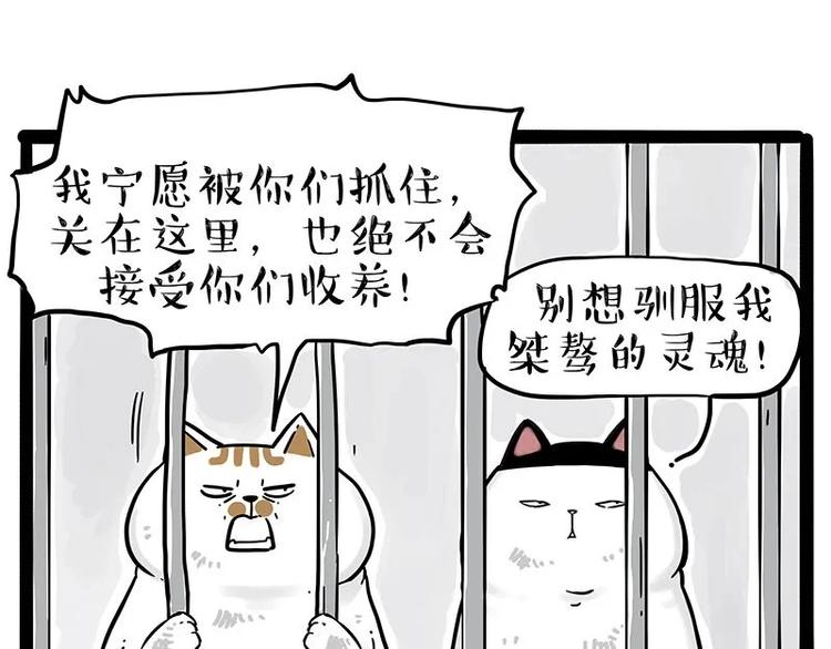 《吾皇巴扎黑》漫画最新章节第216话 傲霸求领养了！免费下拉式在线观看章节第【7】张图片