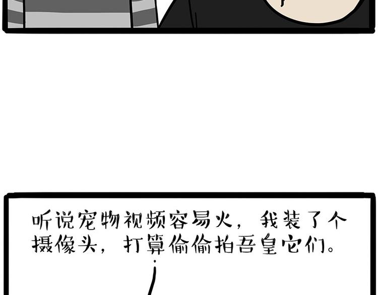 【吾皇巴扎黑】漫画-（第217话 联手“作案”）章节漫画下拉式图片-4.jpg