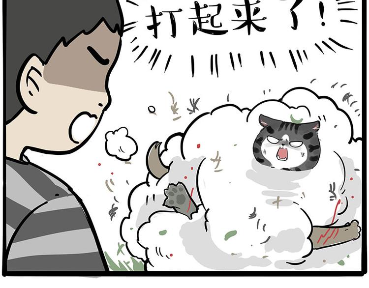 《吾皇巴扎黑》漫画最新章节第219话 少年侠.你给我爬！免费下拉式在线观看章节第【36】张图片