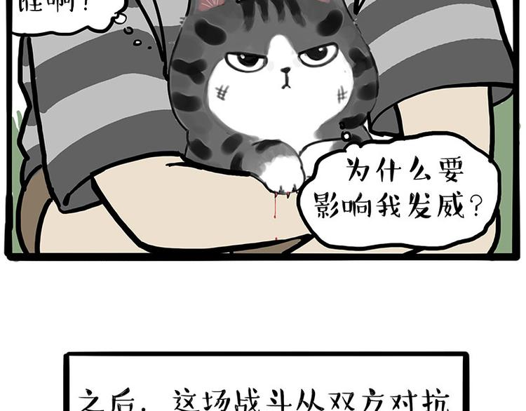 《吾皇巴扎黑》漫画最新章节第219话 少年侠.你给我爬！免费下拉式在线观看章节第【40】张图片