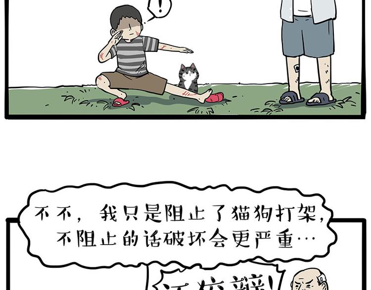 《吾皇巴扎黑》漫画最新章节第219话 少年侠.你给我爬！免费下拉式在线观看章节第【43】张图片